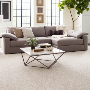 Living room Carpet flooring | Westport Flooring