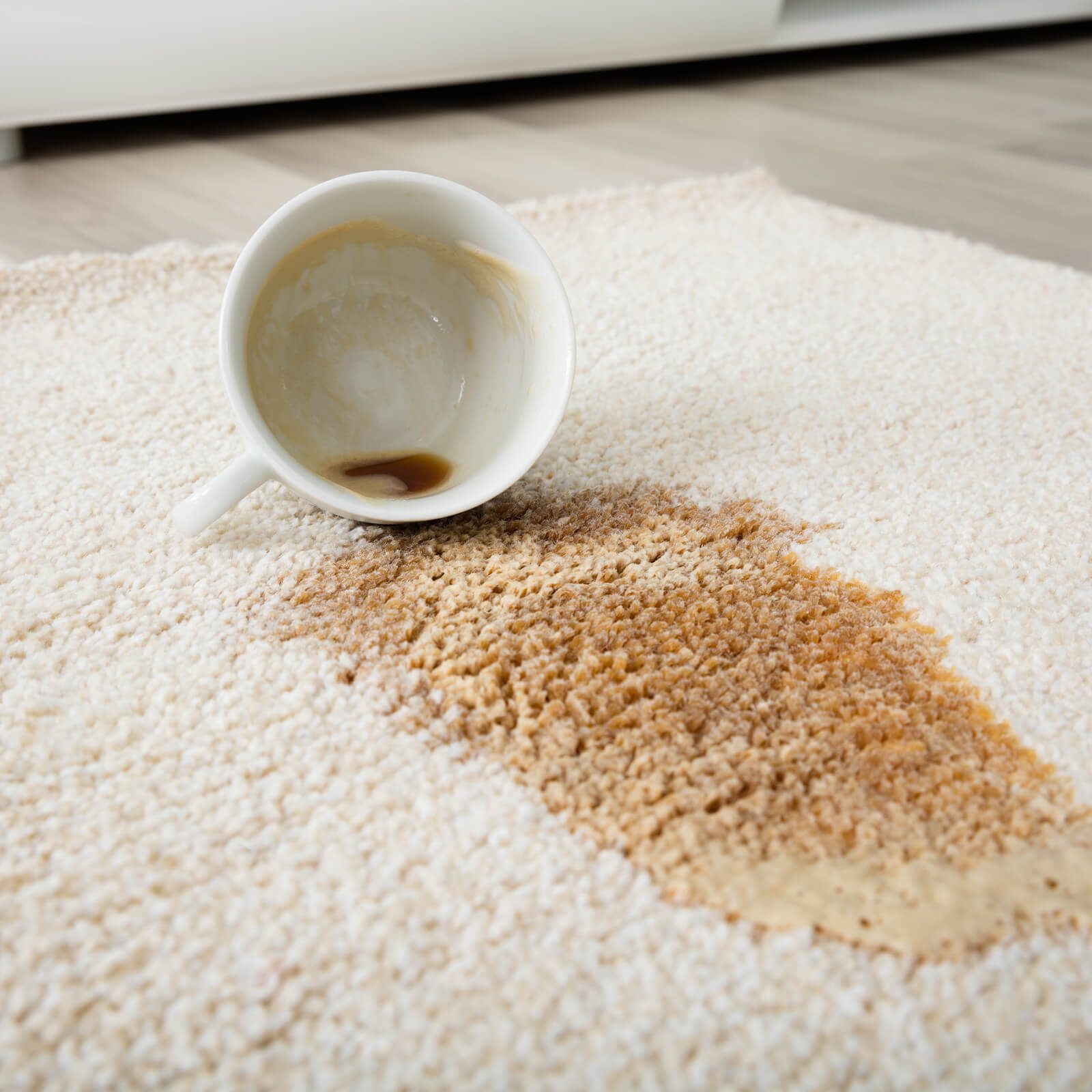 Coffee spill on area rug | Westport Flooring